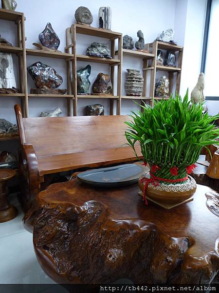 2011-06-29 007.JPG