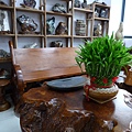 2011-06-29 007.JPG