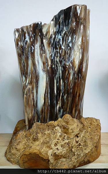 2011-06-29 014.JPG
