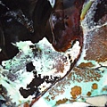 2011-06-29 019.JPG