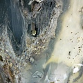 2011-06-29 020.JPG