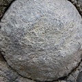 2011-06-29 021.JPG