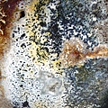 2011-06-29 024.JPG