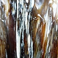 2011-06-29 025.JPG