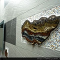 2011-06-29 040.JPG