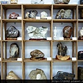 2011-06-29 044.JPG