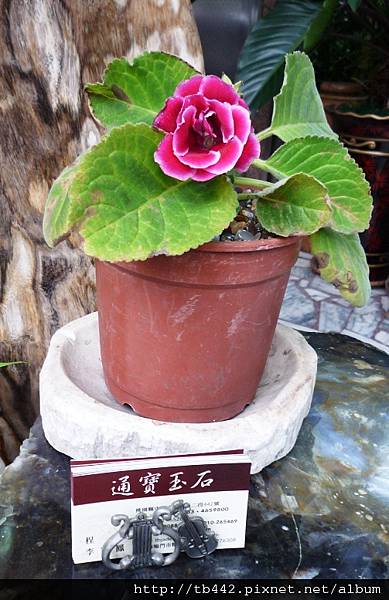2011-06-29 051.JPG