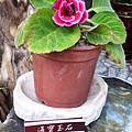 2011-06-29 051.JPG
