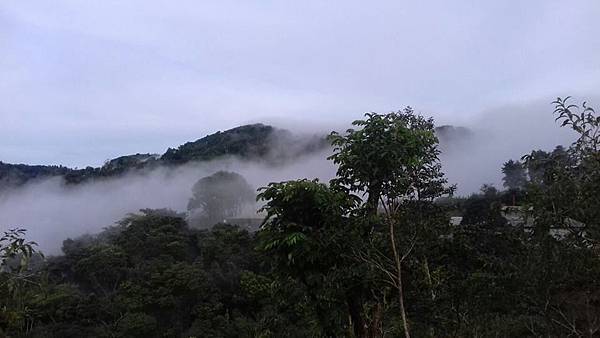 薩爾瓦多雲霧莊園20160928.jpg