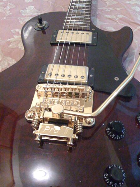 Gibson Les Paul Studio with Stetsbar Pro II