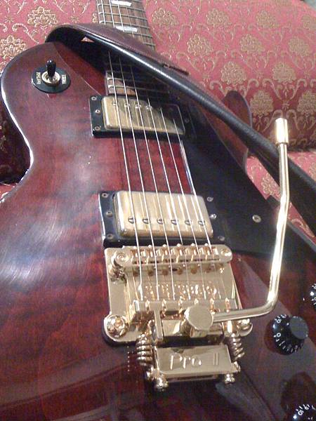 Gibson Les Paul Studio with Stetsbar Pro II