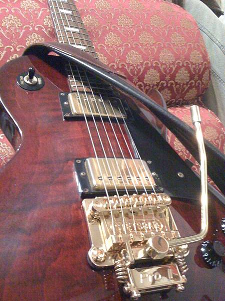 Gibson Les Paul Studio with Stetsbar Pro II