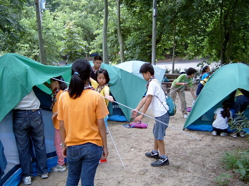 008.jpg 008.jpg