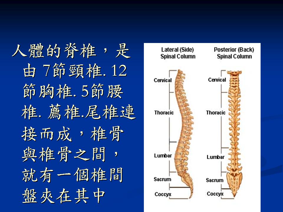 投影片5.JPG