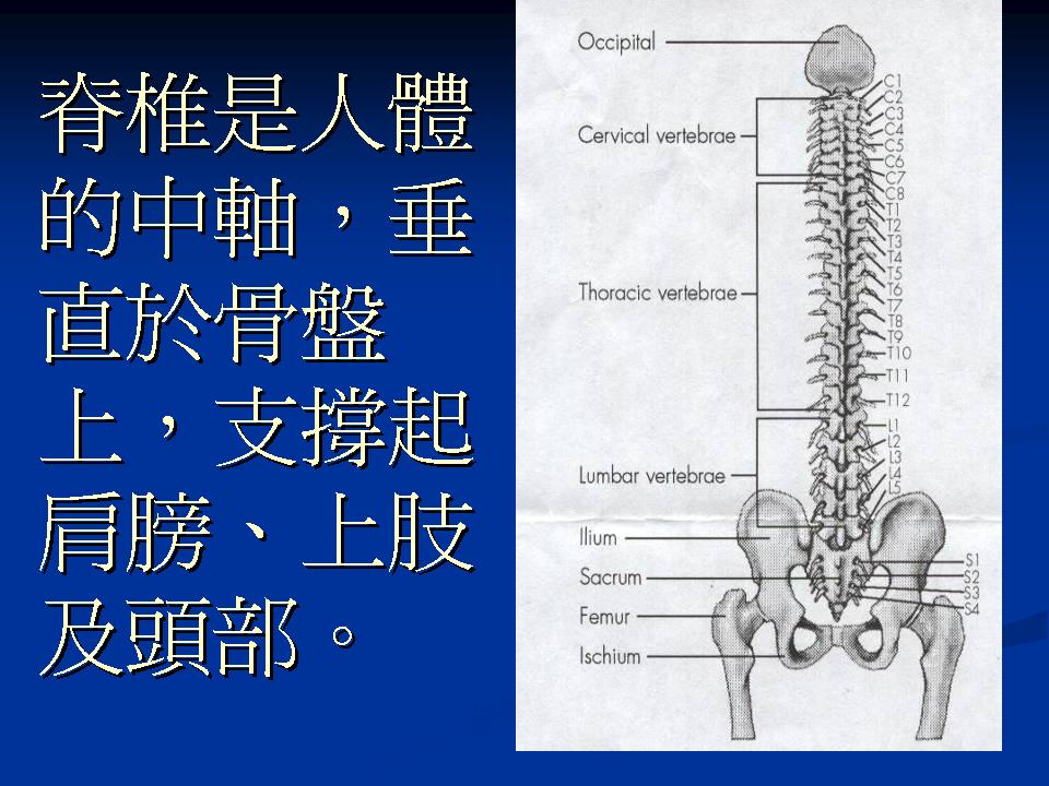 投影片4.JPG