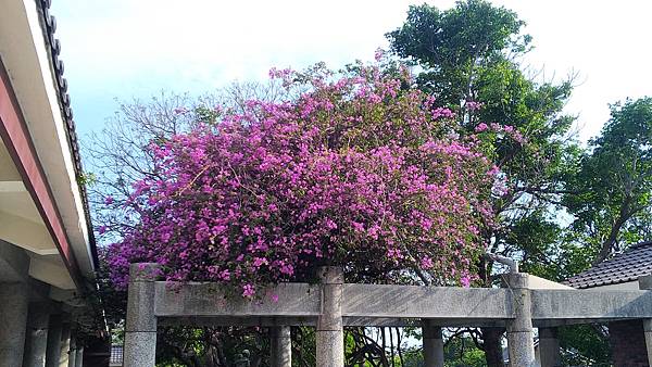 台中市港區藝術中心搭配清水眷村文化園區-免門票參觀