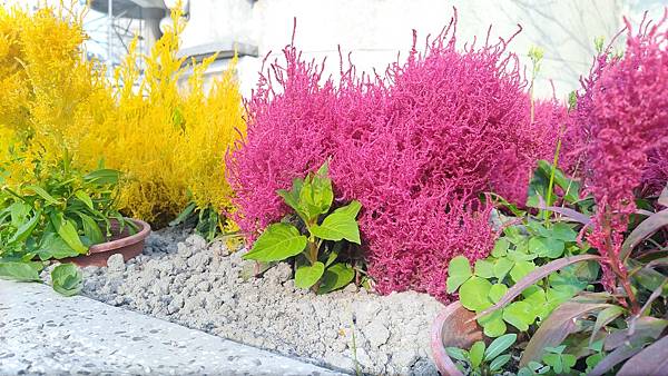 台中市港區藝術中心搭配清水眷村文化園區-免門票參觀