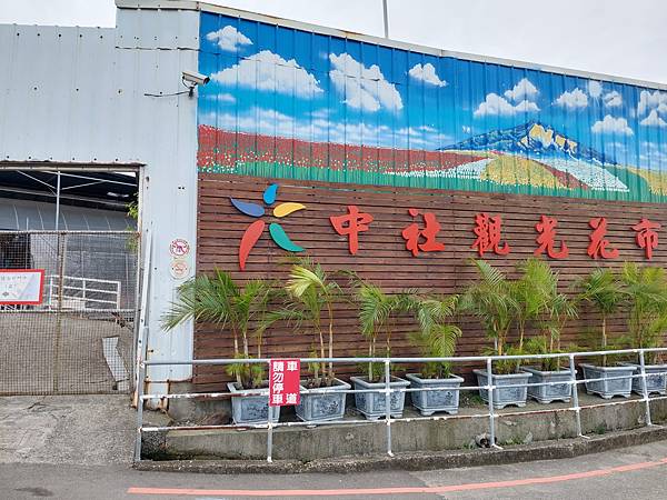 台中中社觀光花市花海-欣賞花朵吃到飽烤肉的美好旅程 台中中社觀光花市花海-欣賞花朵吃到飽烤肉的美好旅程