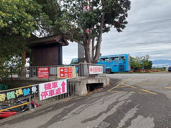 台中中社觀光花市花海-欣賞花朵吃到飽烤肉的美好旅程