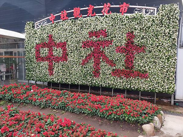 台中中社觀光花市花海-欣賞花朵吃到飽烤肉的美好旅程 台中中社觀光花市花海-欣賞花朵吃到飽烤肉的美好旅程