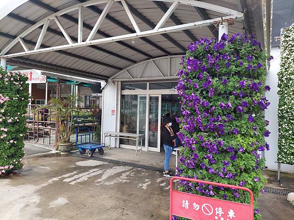 台中中社觀光花市花海-欣賞花朵吃到飽烤肉的美好旅程 台中中社觀光花市花海-欣賞花朵吃到飽烤肉的美好旅程