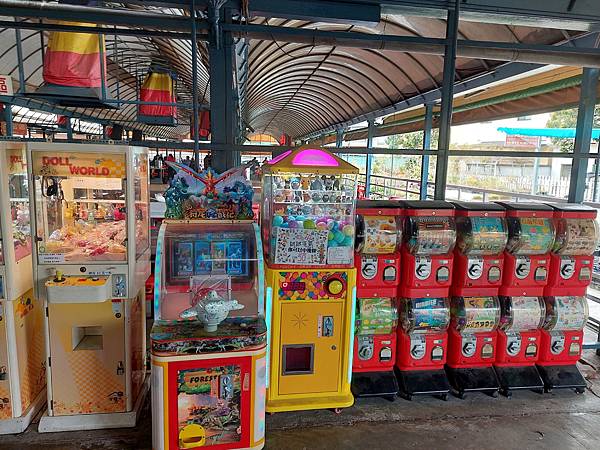 台中中社觀光花市花海-欣賞花朵吃到飽烤肉的美好旅程 台中中社觀光花市花海-欣賞花朵吃到飽烤肉的美好旅程