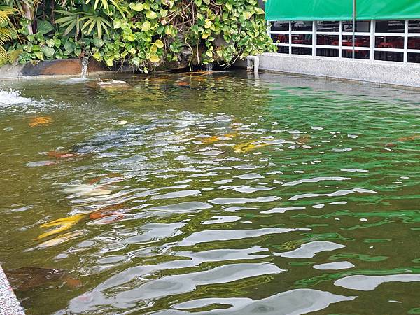 台中中社觀光花市花海-欣賞花朵吃到飽烤肉的美好旅程 台中中社觀光花市花海-欣賞花朵吃到飽烤肉的美好旅程