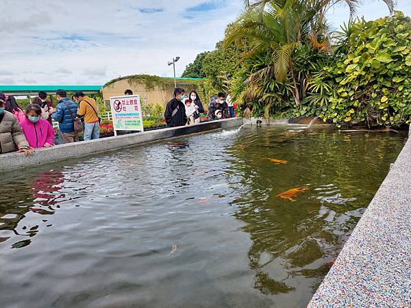 台中中社觀光花市花海-欣賞花朵吃到飽烤肉的美好旅程 台中中社觀光花市花海-欣賞花朵吃到飽烤肉的美好旅程