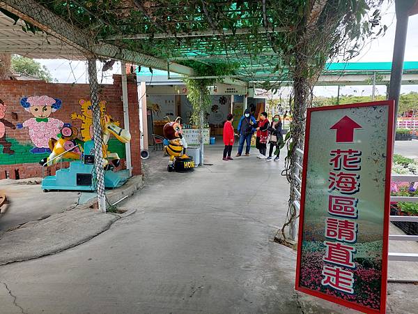 台中中社觀光花市花海-欣賞花朵吃到飽烤肉的美好旅程 台中中社觀光花市花海-欣賞花朵吃到飽烤肉的美好旅程