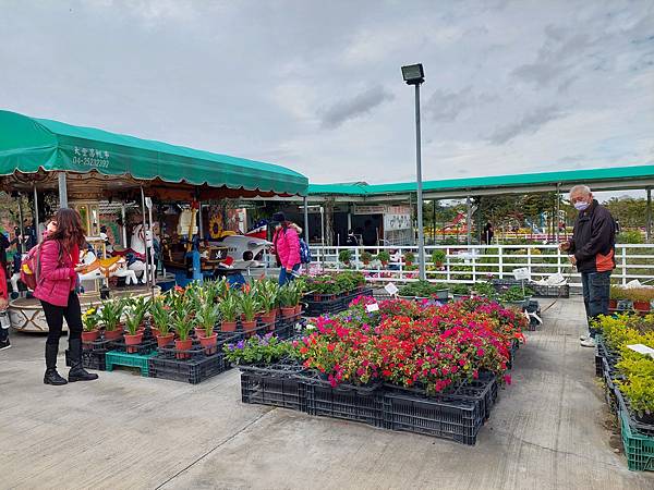 台中中社觀光花市花海-欣賞花朵吃到飽烤肉的美好旅程 台中中社觀光花市花海-欣賞花朵吃到飽烤肉的美好旅程
