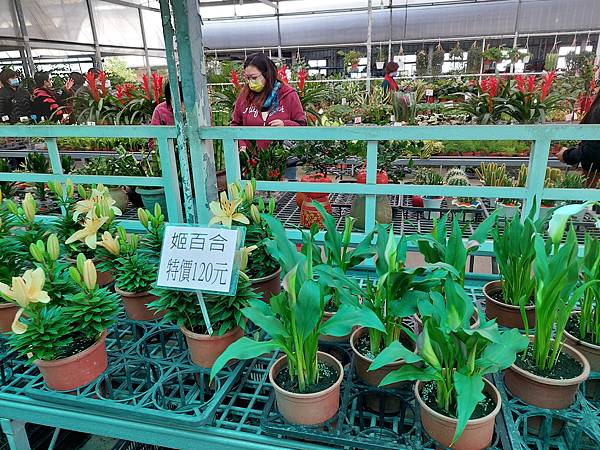 台中中社觀光花市花海-欣賞花朵吃到飽烤肉的美好旅程 台中中社觀光花市花海-欣賞花朵吃到飽烤肉的美好旅程