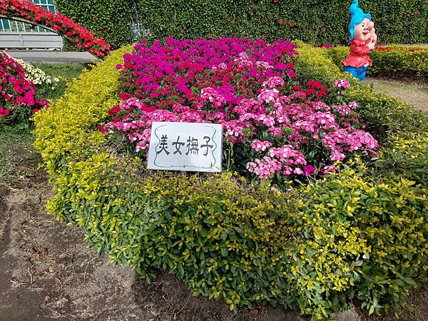 台中中社觀光花市花海-欣賞花朵吃到飽烤肉的美好旅程 台中中社觀光花市花海-欣賞花朵吃到飽烤肉的美好旅程