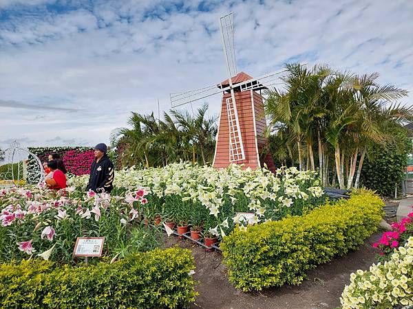 台中中社觀光花市花海-欣賞花朵吃到飽烤肉的美好旅程 台中中社觀光花市花海-欣賞花朵吃到飽烤肉的美好旅程