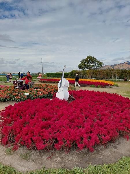 台中中社觀光花市花海-欣賞花朵吃到飽烤肉的美好旅程 台中中社觀光花市花海-欣賞花朵吃到飽烤肉的美好旅程