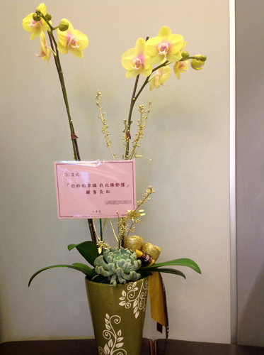蘭花賀禮 蘭花賀禮