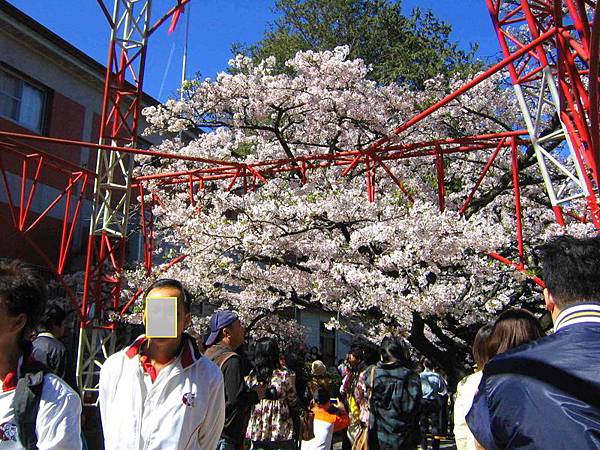 IMG_3190-阿里山派出所-1