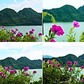 R0016084-r-雙峰(四合一)r-1