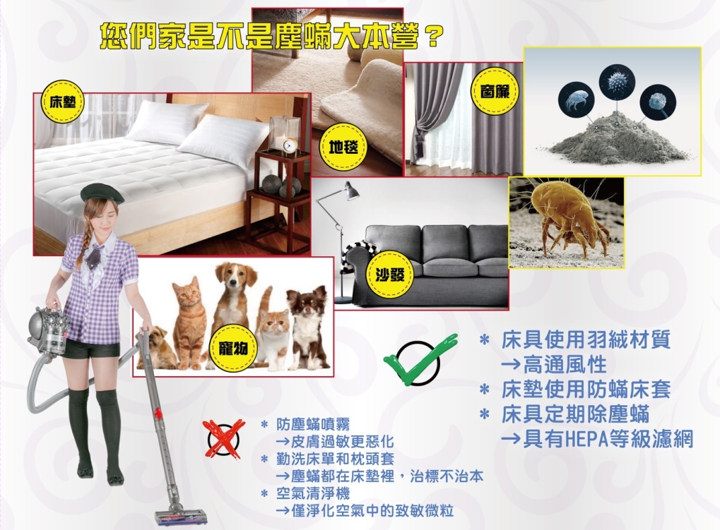 清潔公司除塵螨服務 4231402218469-crop.jpg