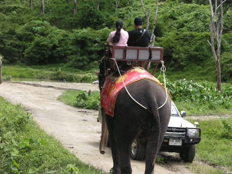 普吉島旅遊-(37).gif