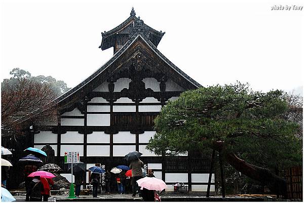 暴雨京都41.jpg