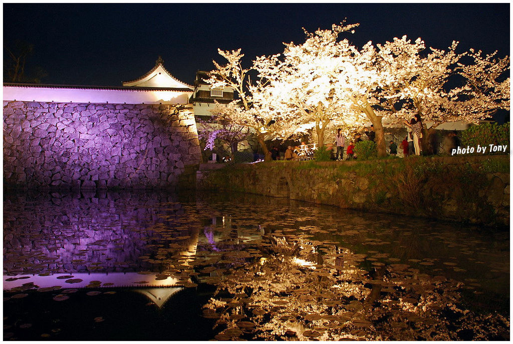 西日本瘋櫻日記14 4 福岡 舞鶴公園 古城舞夜櫻 怪叔叔趴趴go 東尼的旅遊人生 痞客邦 西日本瘋櫻日記14 4 福岡 舞鶴公園 古城舞夜櫻 怪叔叔趴趴go 東尼的旅遊人生 痞客邦