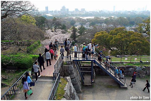 舞鶴公園18.jpg