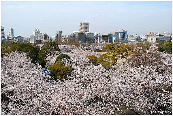 舞鶴公園22.jpg