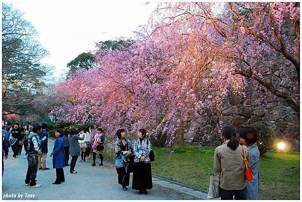 舞鶴公園32.jpg