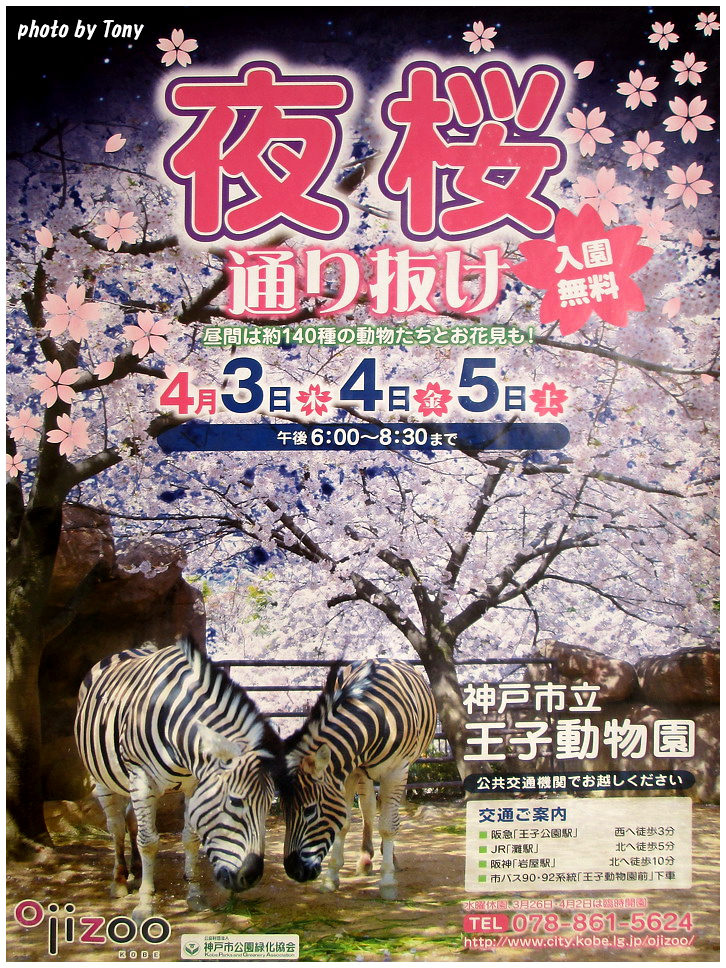 西日本瘋櫻日記14 12 神戶 王子動物園 幸福兒童樂園 怪叔叔趴趴go 東尼的旅遊人生 痞客邦 西日本瘋櫻日記14 12 神戶 王子動物園 幸福兒童樂園 怪叔叔趴趴go 東尼的旅遊人生 痞客邦