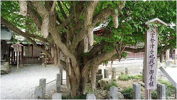 秩父神社39.jpg