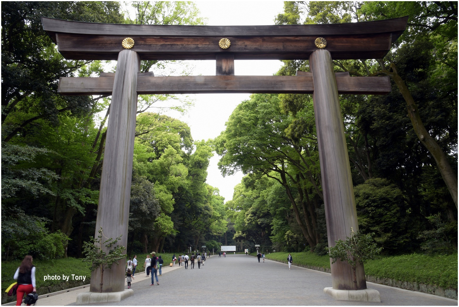 關東舞繽紛16 19 東京 明治神宮 蒼鬱密林之間的天皇聖域 怪叔叔趴趴go 東尼的旅遊人生 痞客邦 關東舞繽紛16 19 東京 明治神宮 蒼鬱密林之間的天皇聖域 怪叔叔趴趴go 東尼的旅遊人生 痞客邦