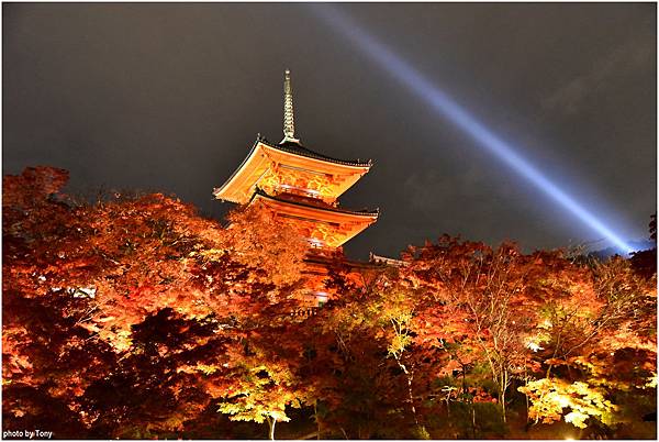 清水寺夜楓37.jpg