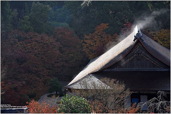 南禪寺17.jpg