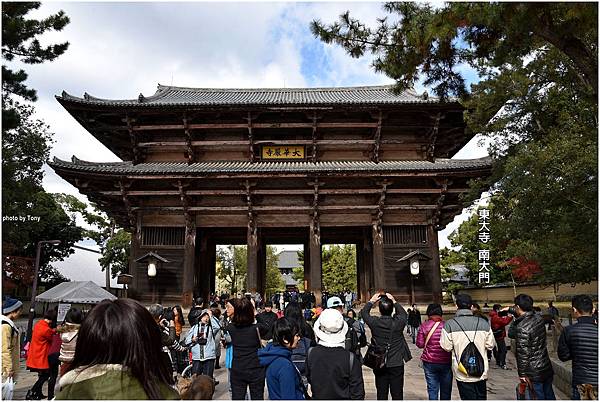 東大寺4.jpg